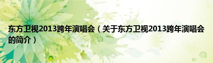 東方衛(wèi)視2013跨年演唱會（關于東方衛(wèi)視2013跨年演唱會的簡介）