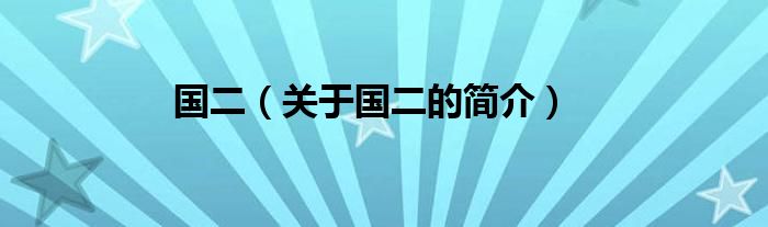 國(guó)二（關(guān)于國(guó)二的簡(jiǎn)介）