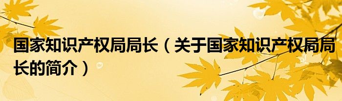 國家知識產(chǎn)權局局長（關于國家知識產(chǎn)權局局長的簡介）