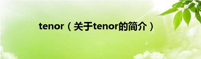 tenor（關(guān)于tenor的簡介）