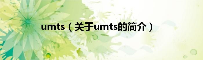 umts（關于umts的簡介）