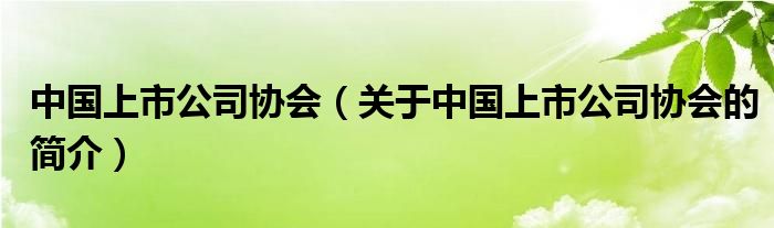 中國(guó)上市公司協(xié)會(huì)（關(guān)于中國(guó)上市公司協(xié)會(huì)的簡(jiǎn)介）