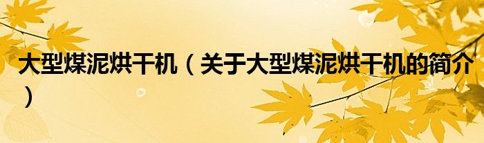 大型煤泥烘干機(jī)（關(guān)于大型煤泥烘干機(jī)的簡介）