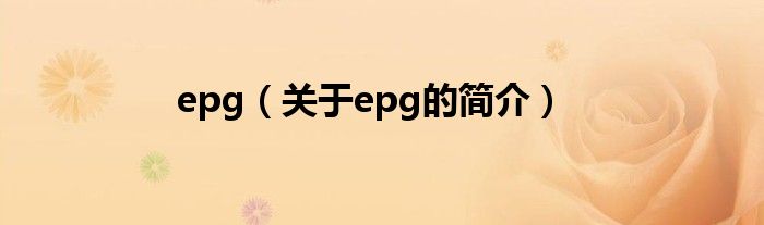 epg（關(guān)于epg的簡(jiǎn)介）