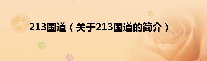 213國(guó)道（關(guān)于213國(guó)道的簡(jiǎn)介）