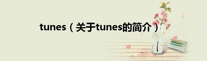 tunes（關于tunes的簡介）