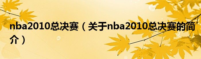 nba2010總決賽（關于nba2010總決賽的簡介）