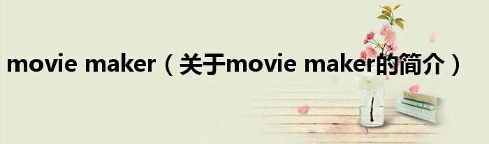 movie maker（關(guān)于movie maker的簡(jiǎn)介）