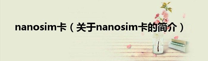 nanosim卡（關(guān)于nanosim卡的簡介）