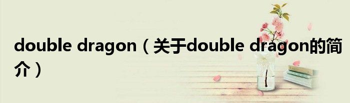 double dragon（關(guān)于double dragon的簡介）