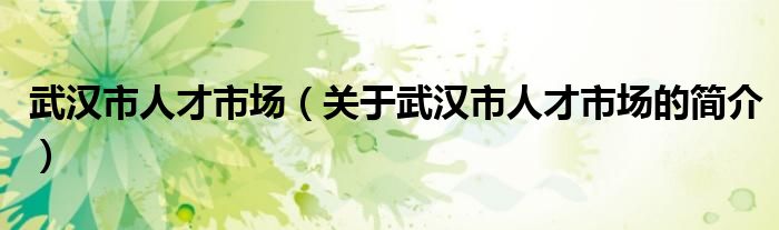 武漢市人才市場(chǎng)（關(guān)于武漢市人才市場(chǎng)的簡(jiǎn)介）