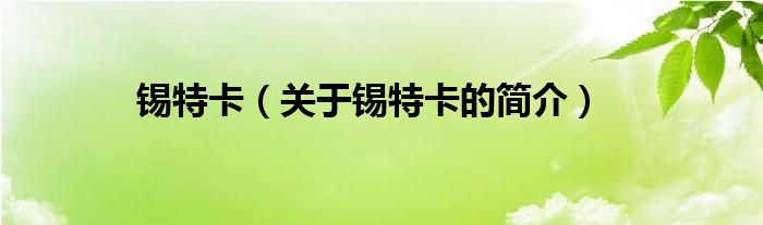 錫特卡（關(guān)于錫特卡的簡(jiǎn)介）