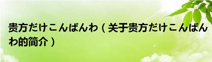 貴方だけこんばんわ（關于貴方だけこんばんわ的簡介）