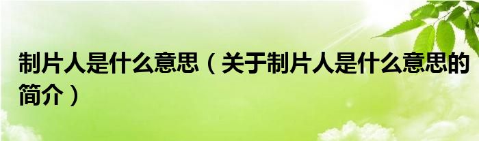 制片人是什么意思（關(guān)于制片人是什么意思的簡介）