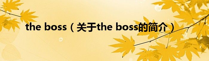 the boss（關于the boss的簡介）