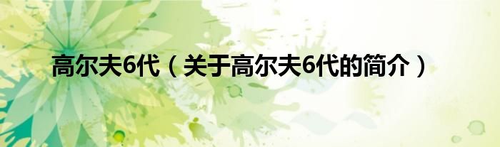 高爾夫6代（關于高爾夫6代的簡介）