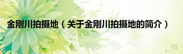 金剛川拍攝地（關于金剛川拍攝地的簡介）