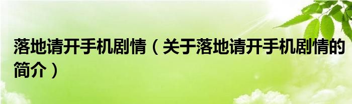 落地請(qǐng)開手機(jī)劇情（關(guān)于落地請(qǐng)開手機(jī)劇情的簡(jiǎn)介）