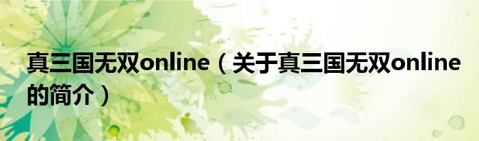 真三國(guó)無(wú)雙online（關(guān)于真三國(guó)無(wú)雙online的簡(jiǎn)介）