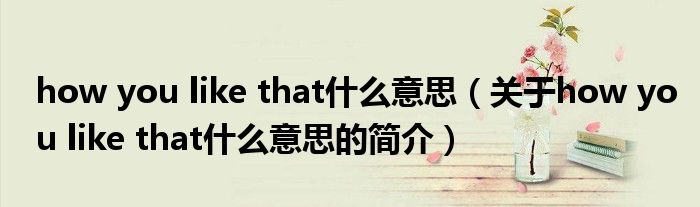 how you like that什么意思（關(guān)于how you like that什么意思的簡(jiǎn)介）