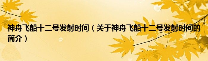 神舟飛船十二號(hào)發(fā)射時(shí)間（關(guān)于神舟飛船十二號(hào)發(fā)射時(shí)間的簡(jiǎn)介）