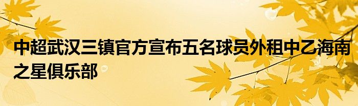 中超武漢三鎮(zhèn)官方宣布五名球員外租中乙海南之星俱樂部