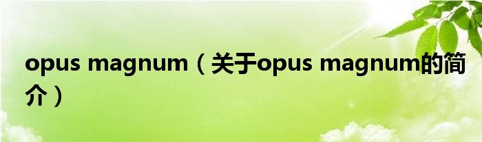 opus magnum（關(guān)于opus magnum的簡介）