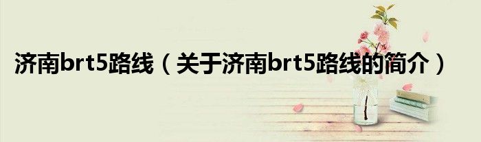 濟南brt5路線（關于濟南brt5路線的簡介）