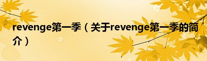 revenge第一季（關(guān)于revenge第一季的簡介）