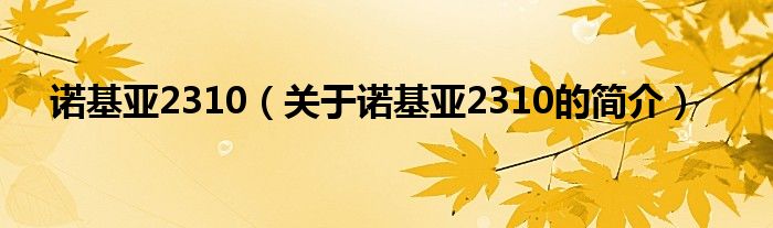 諾基亞2310（關于諾基亞2310的簡介）