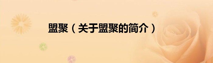 盟聚（關(guān)于盟聚的簡(jiǎn)介）