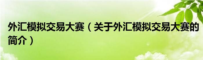 外匯模擬交易大賽（關(guān)于外匯模擬交易大賽的簡(jiǎn)介）