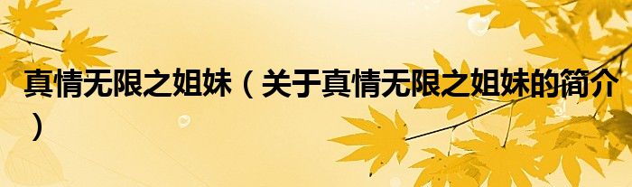 真情無限之姐妹（關(guān)于真情無限之姐妹的簡(jiǎn)介）