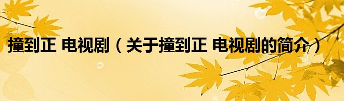 撞到正 電視?。P(guān)于撞到正 電視劇的簡介）