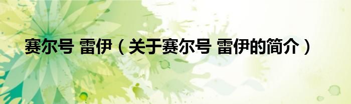 賽爾號(hào) 雷伊（關(guān)于賽爾號(hào) 雷伊的簡(jiǎn)介）