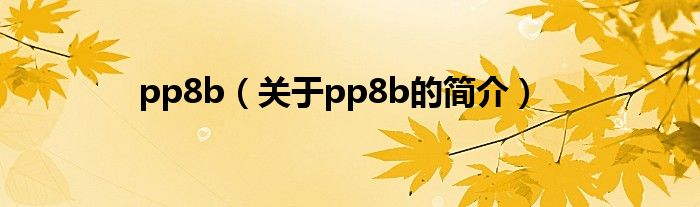 pp8b（關于pp8b的簡介）