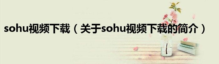 sohu視頻下載（關于sohu視頻下載的簡介）