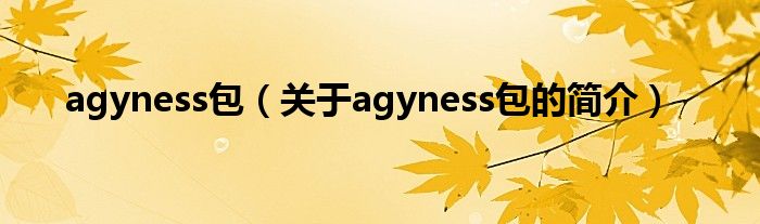 agyness包（關(guān)于agyness包的簡介）