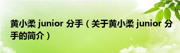 黃小柔 junior 分手（關于黃小柔 junior 分手的簡介）