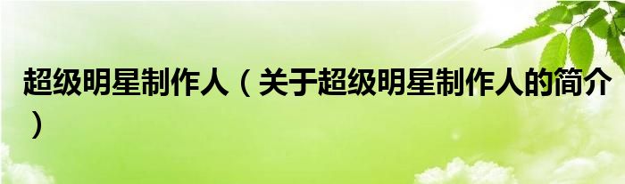 超級明星制作人（關(guān)于超級明星制作人的簡介）