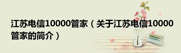 江蘇電信10000管家（關(guān)于江蘇電信10000管家的簡(jiǎn)介）