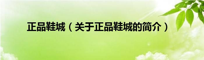 正品鞋城（關(guān)于正品鞋城的簡(jiǎn)介）