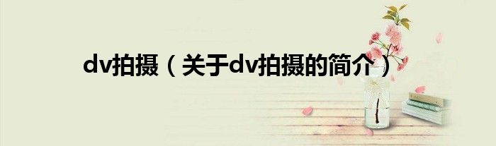 dv拍攝（關于dv拍攝的簡介）