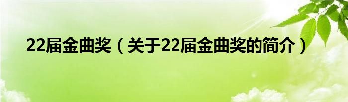 22屆金曲獎（關于22屆金曲獎的簡介）