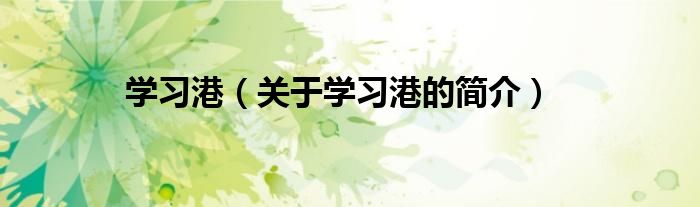 學(xué)習(xí)港（關(guān)于學(xué)習(xí)港的簡(jiǎn)介）