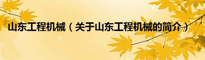 山東工程機械（關于山東工程機械的簡介）