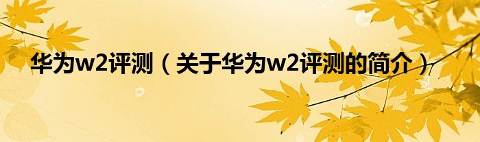 華為w2評測（關于華為w2評測的簡介）