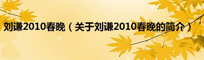 劉謙2010春晚（關(guān)于劉謙2010春晚的簡介）