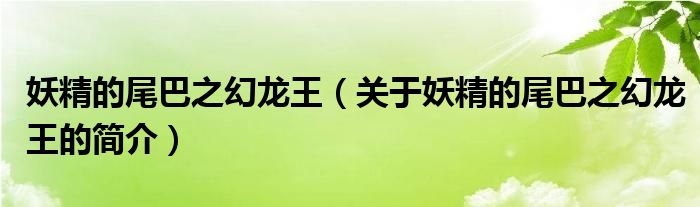 妖精的尾巴之幻龍王（關(guān)于妖精的尾巴之幻龍王的簡介）