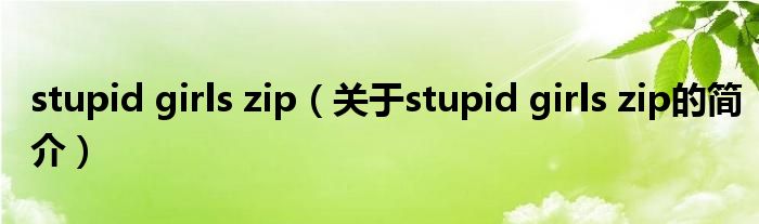 stupid girls zip（關(guān)于stupid girls zip的簡介）